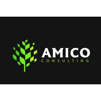 Amico Consulting Logo