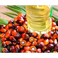 Zhengzhou QiE Grain and Oil Machinery Co.,Ltd - Leading manufacturer of oil machinery Logo