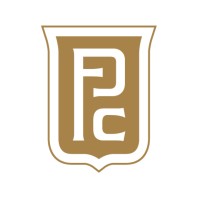 PROFi - The Professional Financial Company Logo