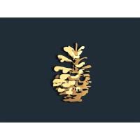 Traverse North Realty Logo