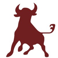 Toro News Logo