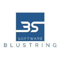 Blustring Software Logo