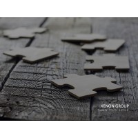 Xenon Group Logo