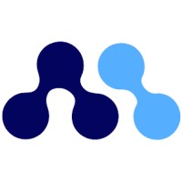 Metricoid Technology Solutions Logo