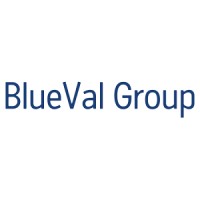 BlueVal Group LLC Logo