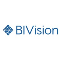 BIVision Logo