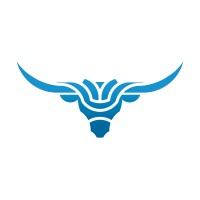Longhorn Debt Recovery Management Logo