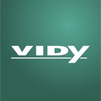 Grupo Vidy Logo
