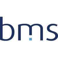 blue milestone GmbH Logo