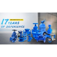 HEBEI HUAHUI VALVE CO.,LTD Logo