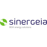 Sinergeia Logo