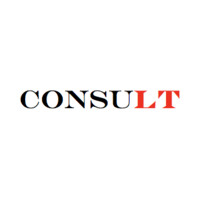 LT CONSULTING Logo