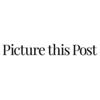 Picture This Post Logo