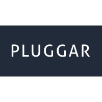 Pluggar Consultores Associados Logo