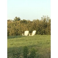 Bellamy and Watson Fields Logo