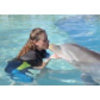 Arkansas Online Advertising Logo