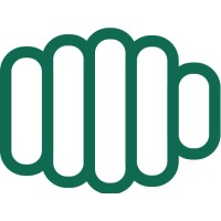 VideoPunch Logo