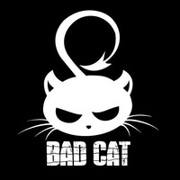 Bad Cat Clothing Logo