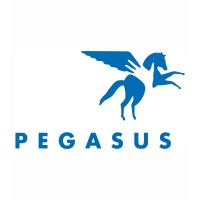 Pegasus Therapeutic Riding, Inc Logo