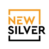 New Silver Logo