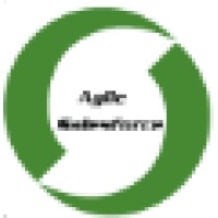 Agile Salesforce Logo