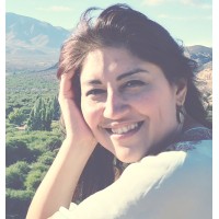 Vanesa Quiroz Logo