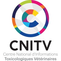 CNITV Logo