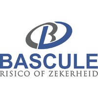 Bascule advies Logo