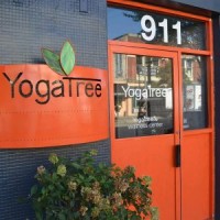 Yoga Tree Baltimore Logo