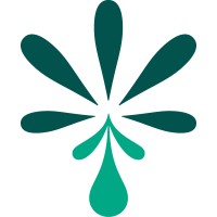 Accelerate Cannabis Logo