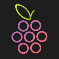 Arctic Raspberry AB Logo