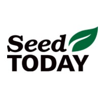 Seed Today Logo