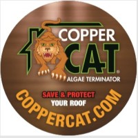 Copper Cat Systems Logo