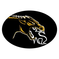 Cameron High School Logo