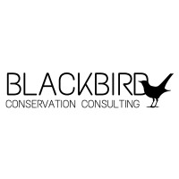 Blackbird Conservation Consulting Logo