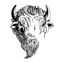 South High School Logo
