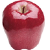 Hamilton High School Logo
