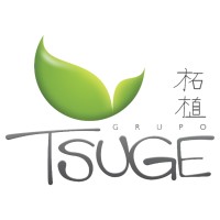 Grupo Tsuge Logo