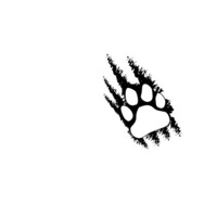 Fairview High School Logo