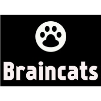 Braincats Consulting Logo