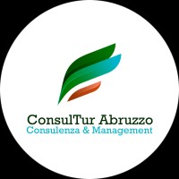 Consultur Logo