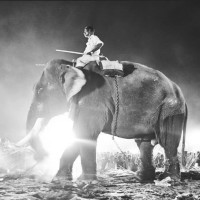 The WellBeing Foundation Logo