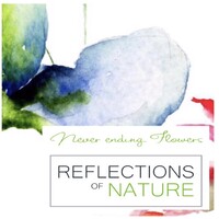 Reflections of Nature Logo