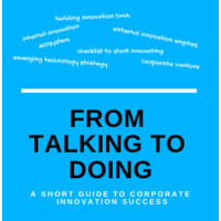 From Talking to Doing: A Short Guide to Corporate Innovation Success Logo