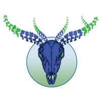 Crack Shack Chiropractic Logo