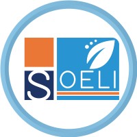 SOELI Consulting Logo