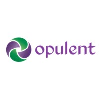 Opulent Infotech Private Limited Logo