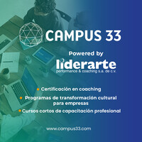 Liderarte Performance & Coaching Logo