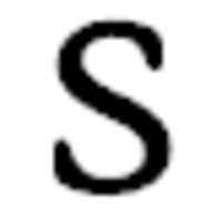 Slarskey LLC Logo