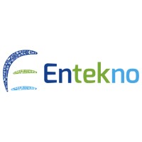 Entekno Global Logo
